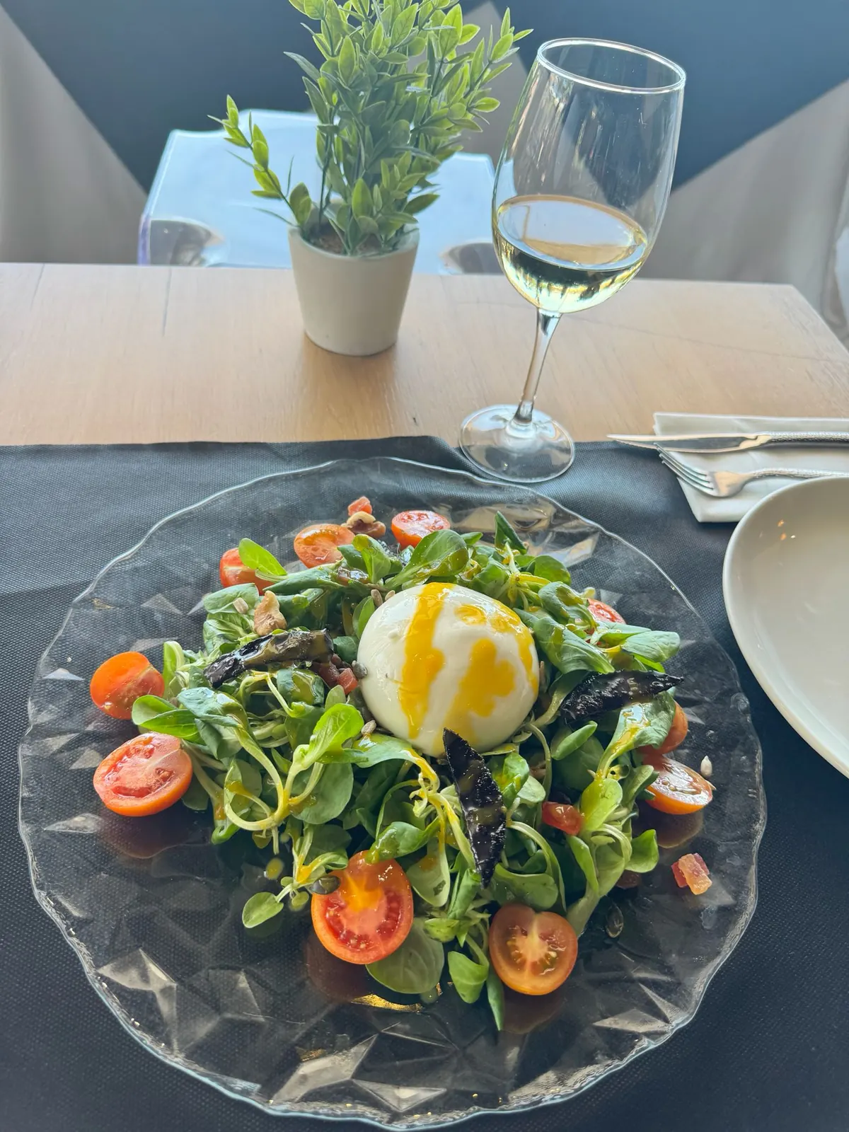 Ensalada con burrata fresca en Mi Barra