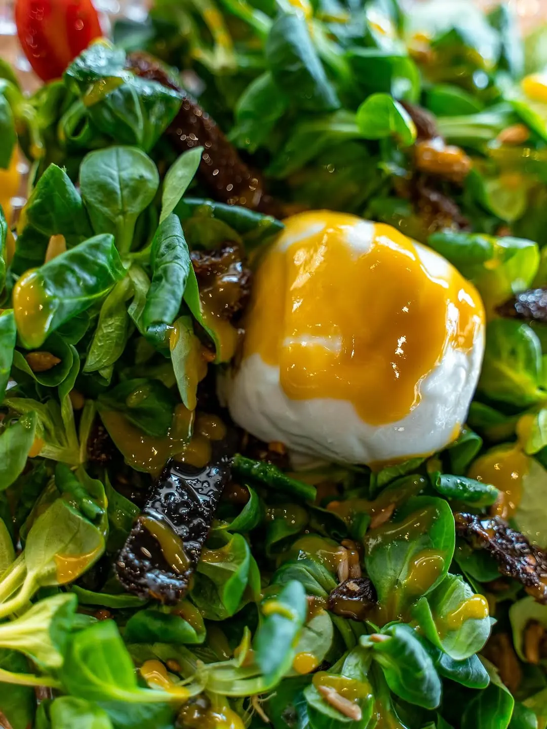 Ensalada con burrata en Mi Barra